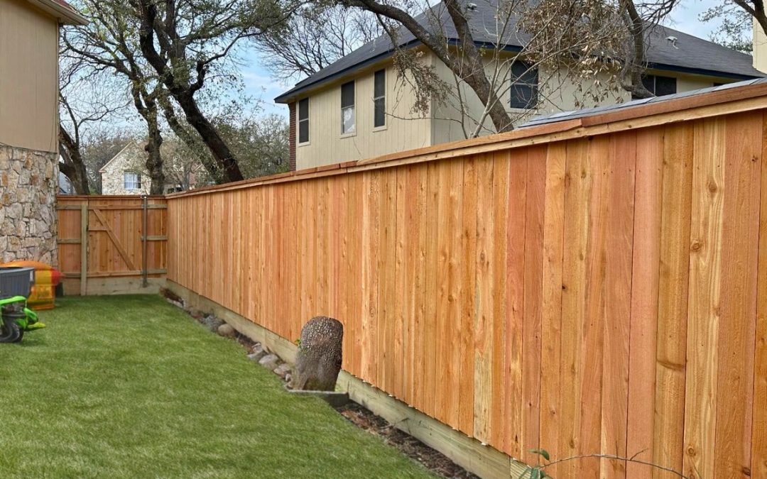Freshly stained wooden fence alongside a grassy yard.