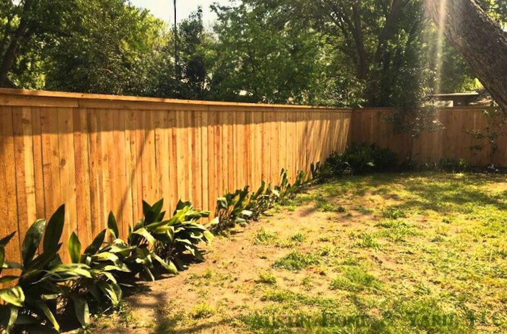 Cedar Privacy Fences: What to Know Before You Build