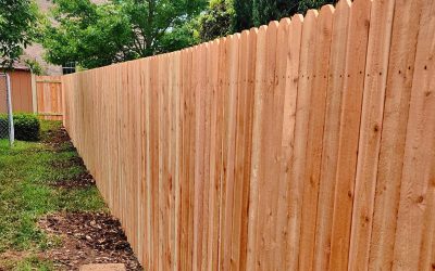 Can My Neighbor Build a Fence on the Property Line?