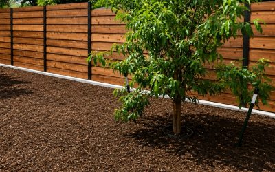 Spite Fence Laws in Texas