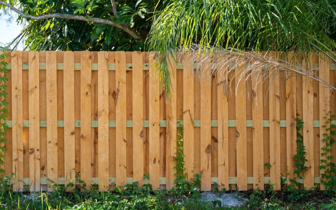 How Local Austin Fence Contractors Improve Your Outdoor Space