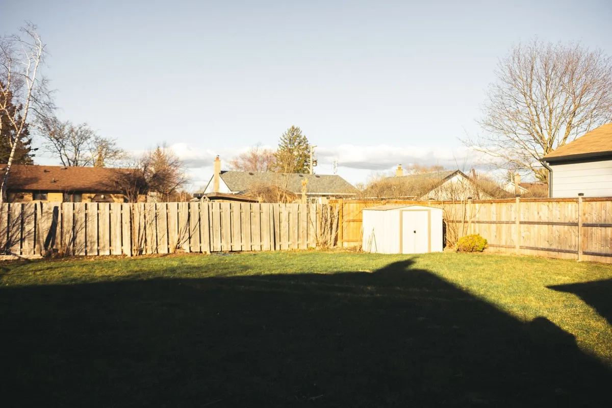 A sunny residential backyard featuring a wooden fence, shed, lush lawns, and tree shadows.
